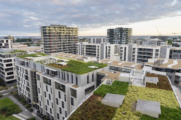 Tips for a Successful Green Roof