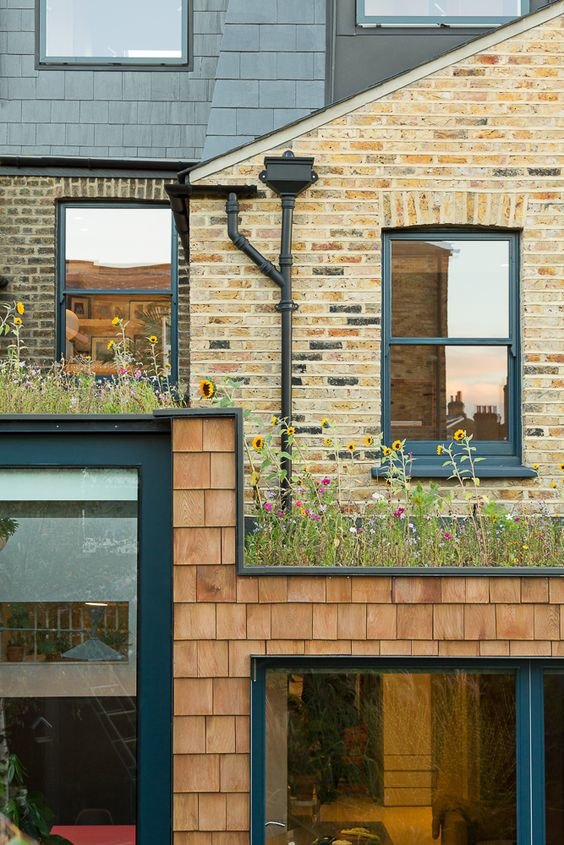 Why Are More & More Contractors Offering ‘Green Roofs’